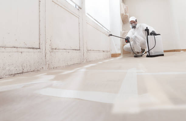 24/7 Emergency Mold Testing experts in Dornsife, PA